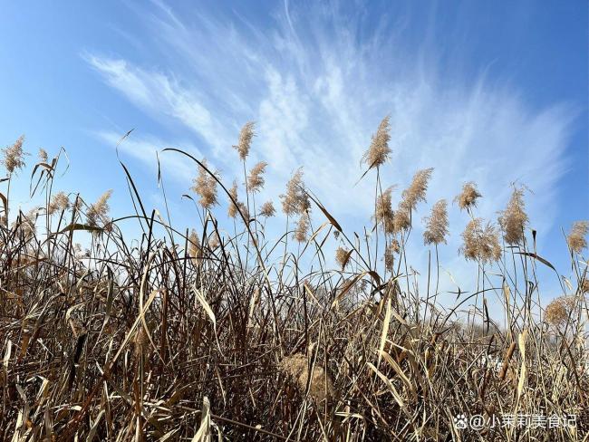 今年立冬3个特点，牢记：做2事吃3样 迎接冬季好彩头