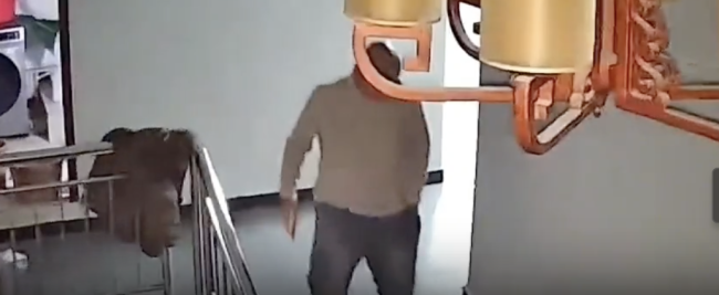 醉汉脚滑扑倒女生双双滚下楼 缓10分钟才起身