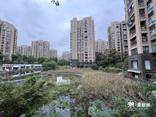 被欠物业费1200万 物业退出不干了