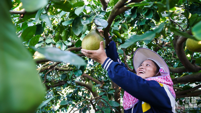 时政新闻眼丨“十五五”如何走在前、作示范、挑大梁？习近平为广东发展作出战略指引