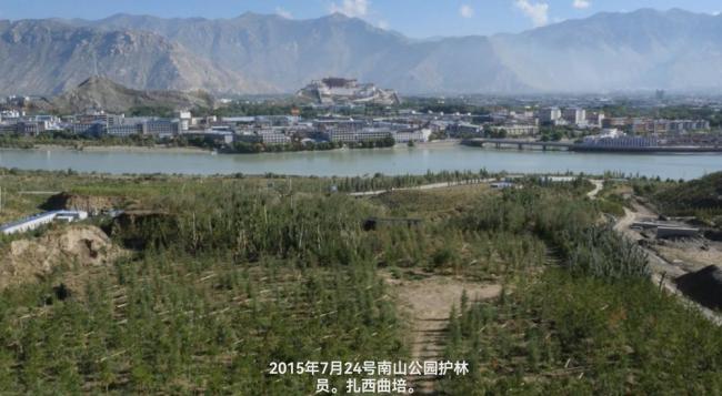 在生态脆弱的高原栽植苗木1.2亿株,西藏做对了什么? 绿化奇迹背后的秘密