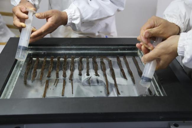 海昏简牍经文保修复数量更新为5795枚 修复工作取得新进展