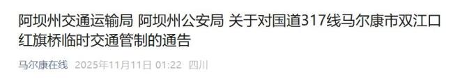 四川红旗桥垮塌后只剩左岸桥体 右岸桥头裂缝致封闭