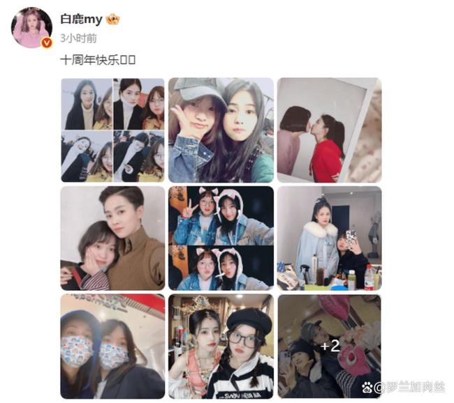 白鹿庆祝与呵呵十周年