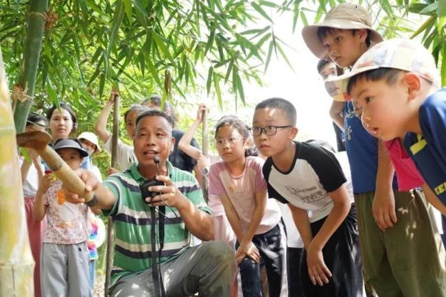 广东多所中小学迎来秋假