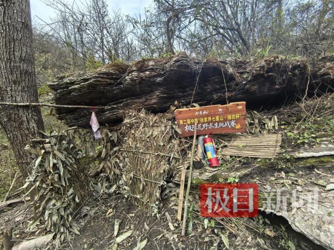 实探荒野求生选手“苗王”的庇护所 山中生存技巧揭秘