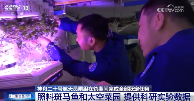 返回舱成功着陆 神二十乘组状态良好 完成多项科学实验任务