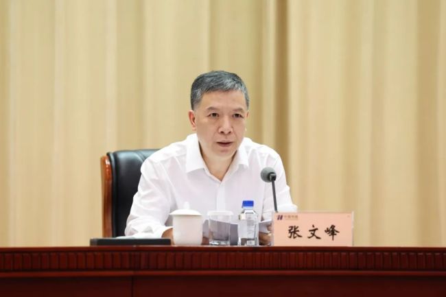 张文峰调任国家电网总经理