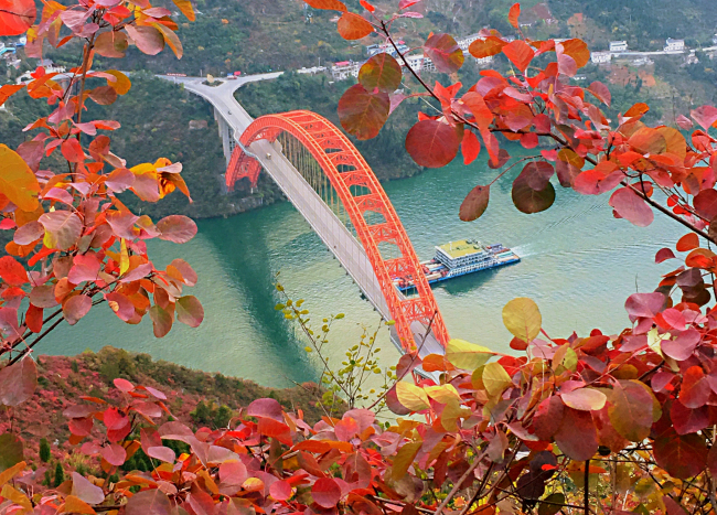 橙黃葉紅正當(dāng)時(shí)——重慶巫山向全球游客發(fā)出紅葉之約