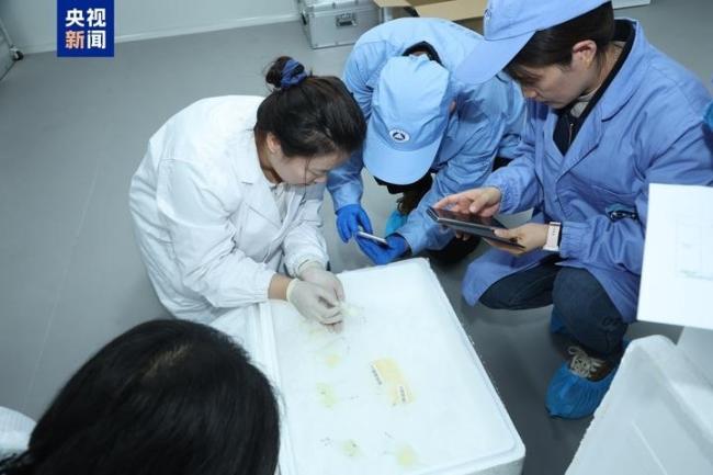 第9批空间科学实验样品交付科学家