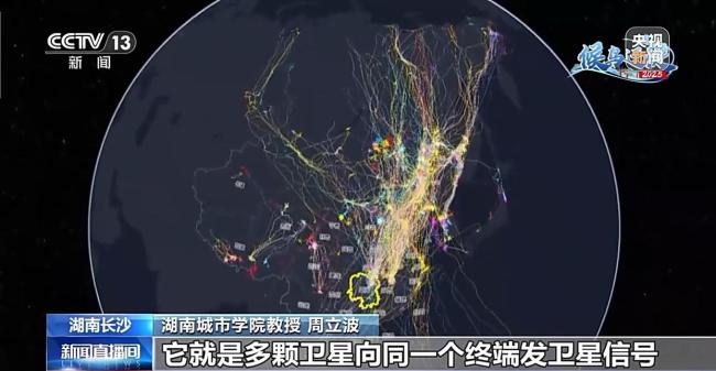 科学家发现斑尾塍鹬能穿越超强台风，它为何能不吃不喝连气儿飞完1.3万公里