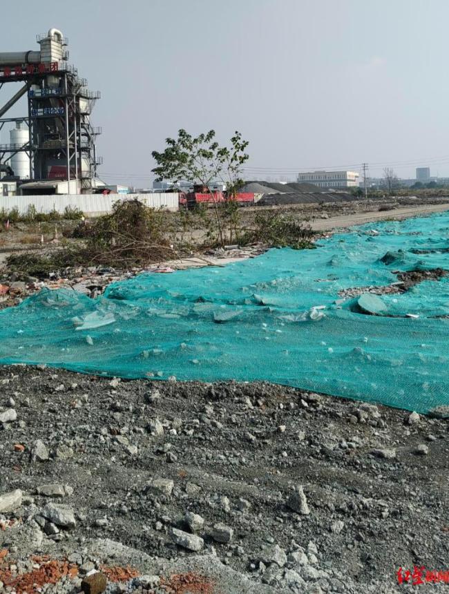 男子打92岁痴呆母亲被刑拘 邻居发声 家庭矛盾曝光