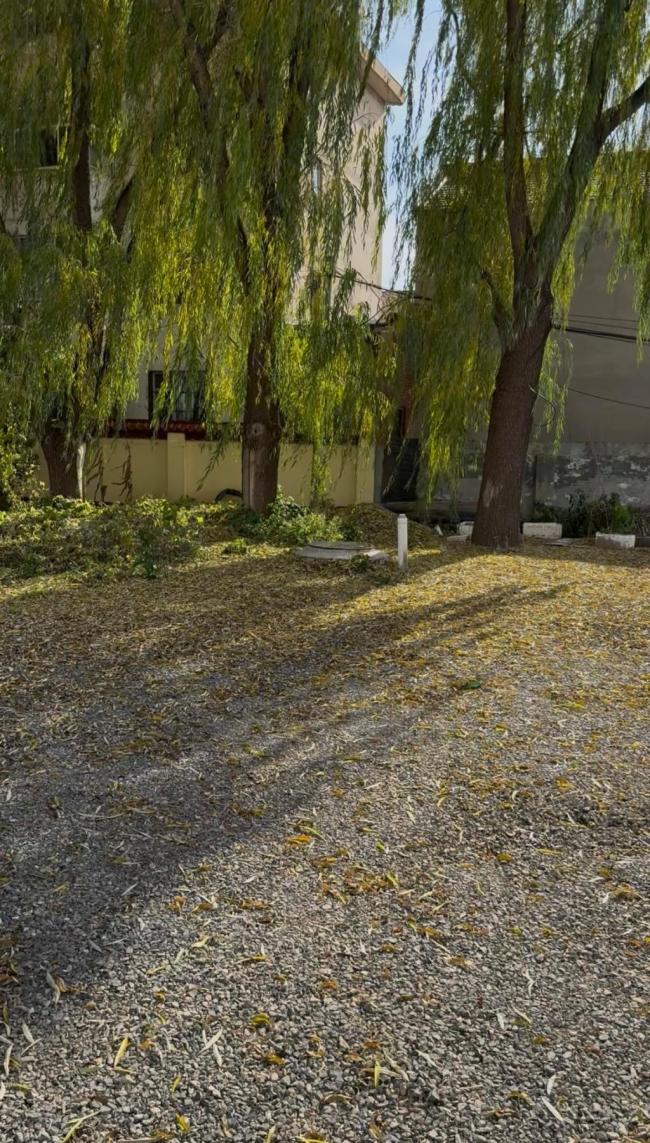 狗咬人主人被反殺 是否防衛(wèi)過度 控辯雙方激辯正當(dāng)防衛(wèi)界限