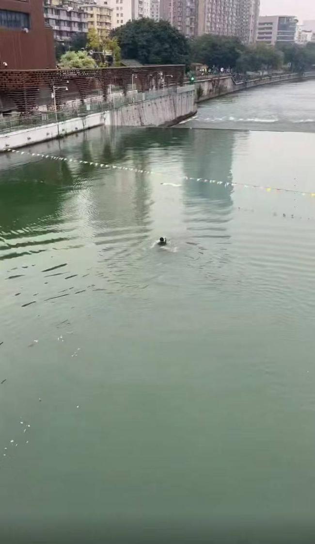 退役军人跳江救起两人：不能坐视不管 本能驱使勇救落水者