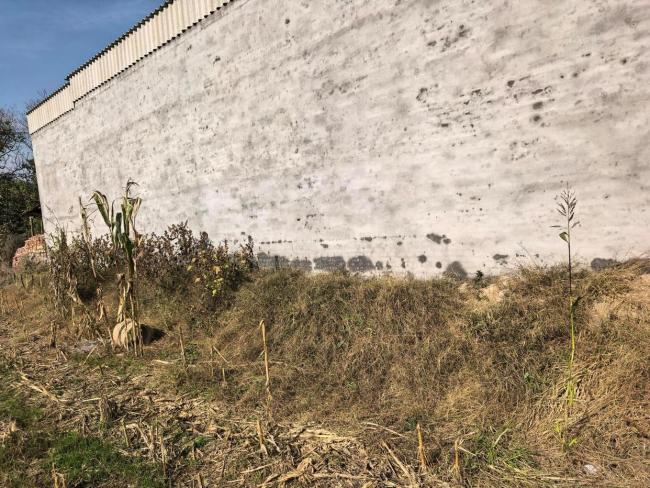 因菜地纠纷男子刺死亲戚妻子发声 争议土地引发悲剧