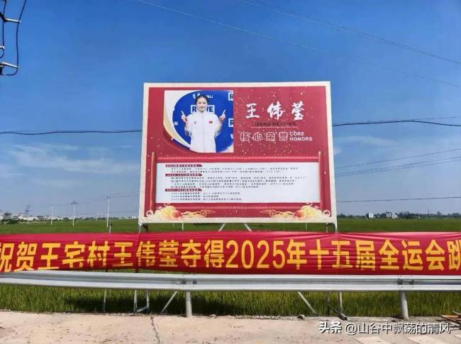 湛江跳水冠军王伟莹回乡 英雄凯旋荣光照耀