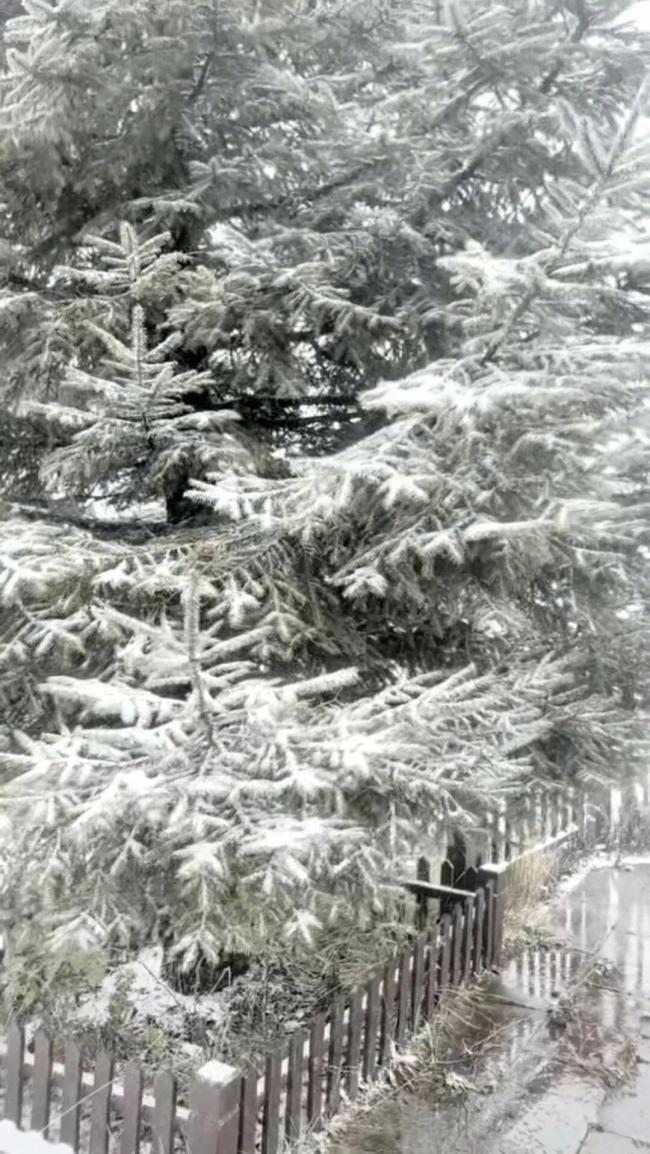 武汉下雪了 初雪提前23天