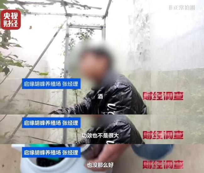 “杀人蜂”遭滥养 有人赚得盆满钵满 总台曝光