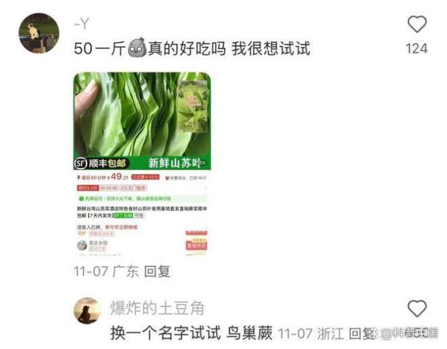 50块1斤的网红菜竟是云南人的绿化带！