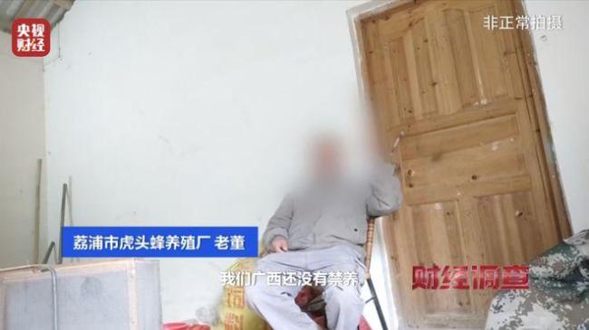 “杀人蜂”遭滥养 有人赚得盆满钵满 总台曝光