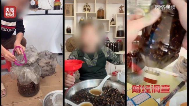 “杀人蜂”遭滥养 有人赚得盆满钵满 总台曝光