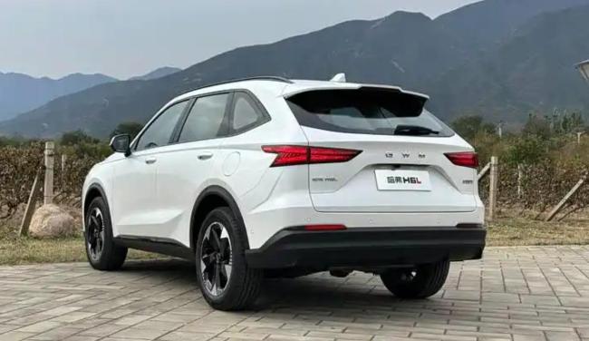 哈弗H6L上市售11.79万元起 中型SUV新选择