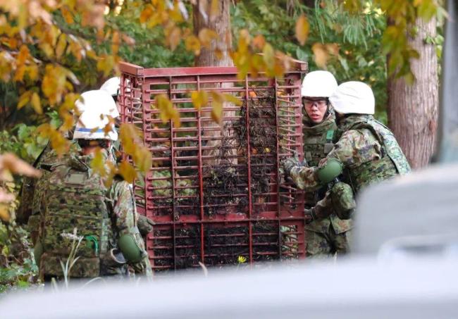 中国90后在闹熊灾的日本当全职猎人 意外转型的人生之路