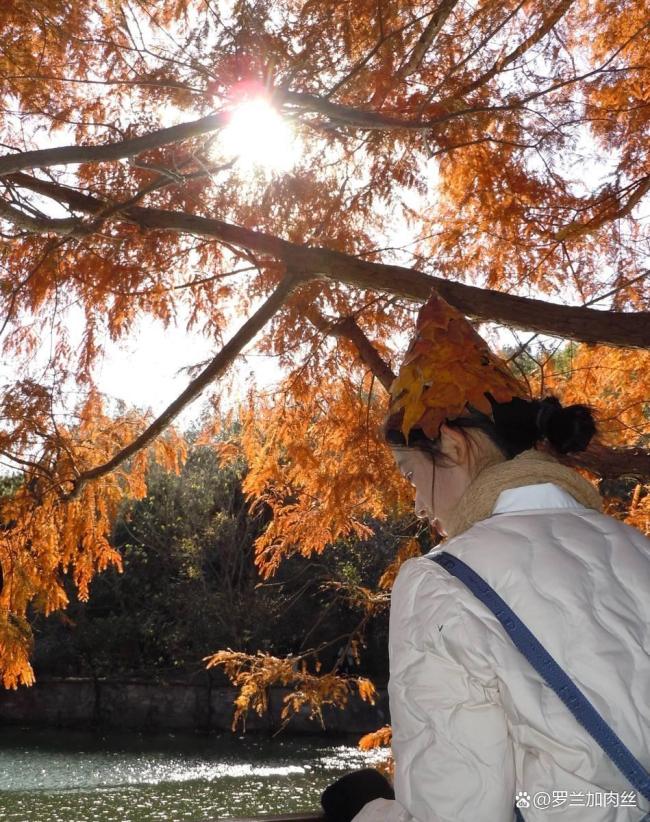 北海公园偶遇黄杨钿甜 文艺清新氛围感十足