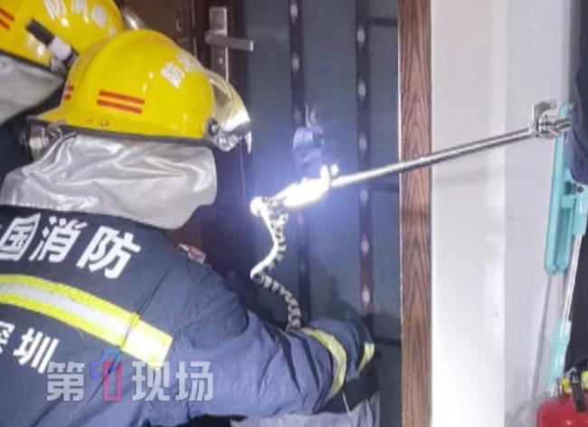 广东一茶水室惊现剧毒蛇！