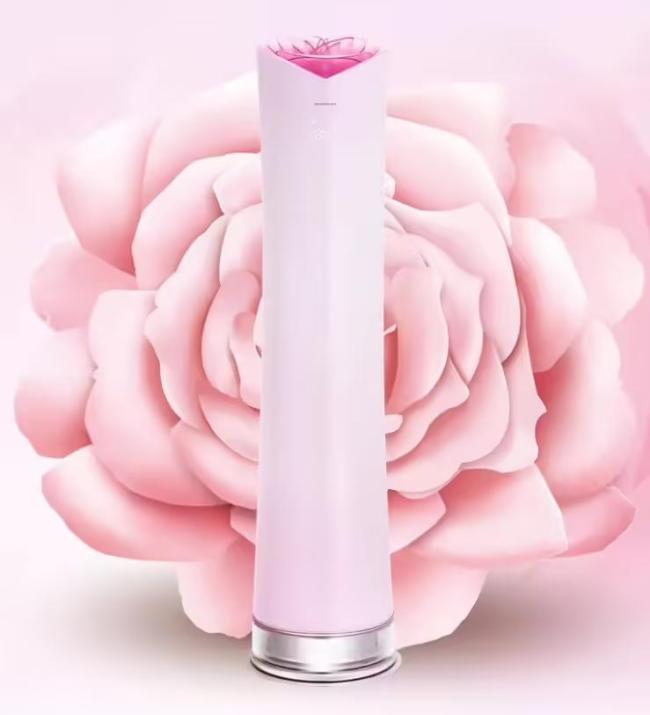 董明珠再再再回应玫瑰空调争议 坚持创新艺术品位