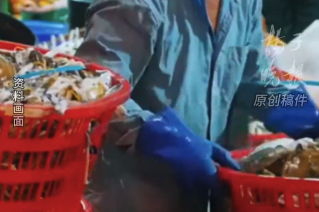 暂停进口日本水产,网友晒嘎啦黄鱼梭子蟹力挺外交部