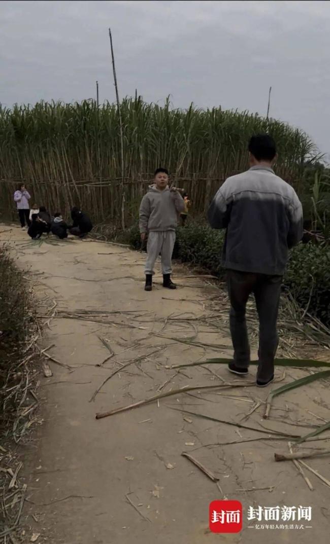 真人版偷甘蔗的巡逻小狗都累趴了 创意玩法引发热议