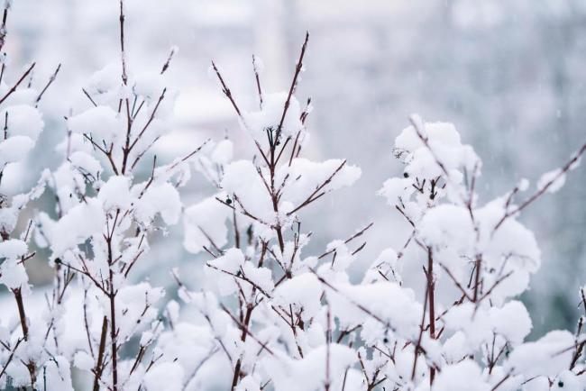 小雪出三象，遍地起坟头：解读三种不利天气特征