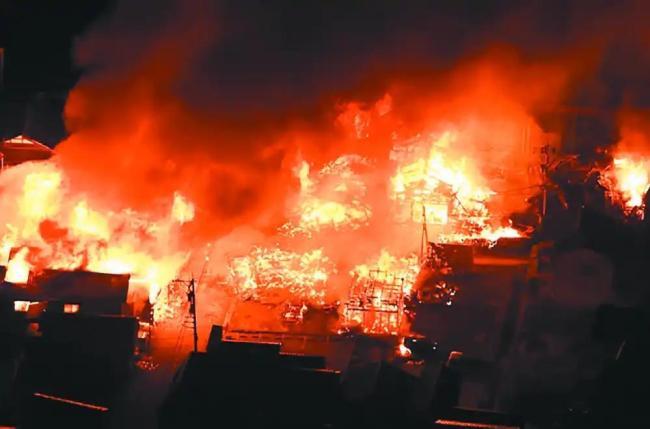 日本发生大火约100只狗葬身火海