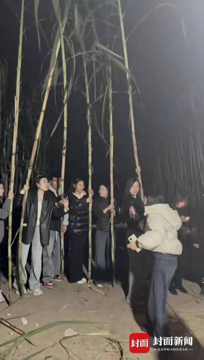 真人版偷甘蔗的巡逻小狗都累趴了 创意玩法引发热议