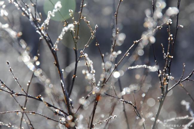 “大雪多未几，就看十月初三”