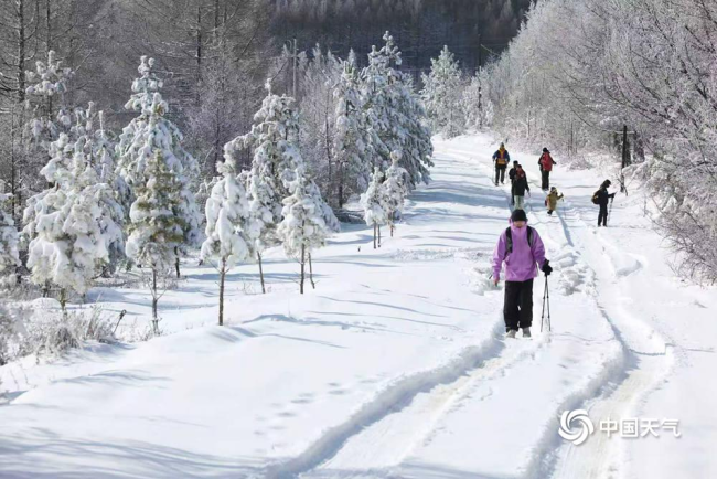 河北草原天路迎降雪 游客滑雪打卡乐享其中