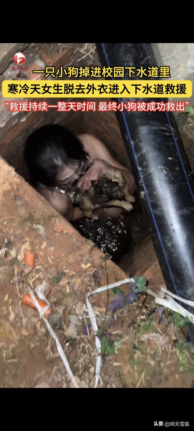 小狗掉下水道 女生脱衣下水救援!