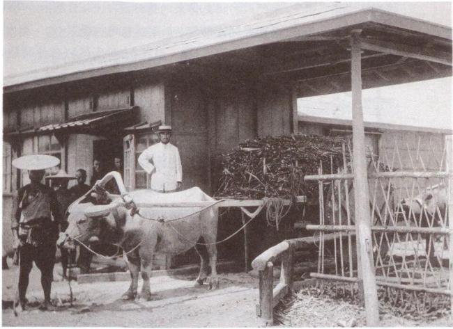 日本欠臺(tái)灣的血債該還了 歷史罪行不容遺忘