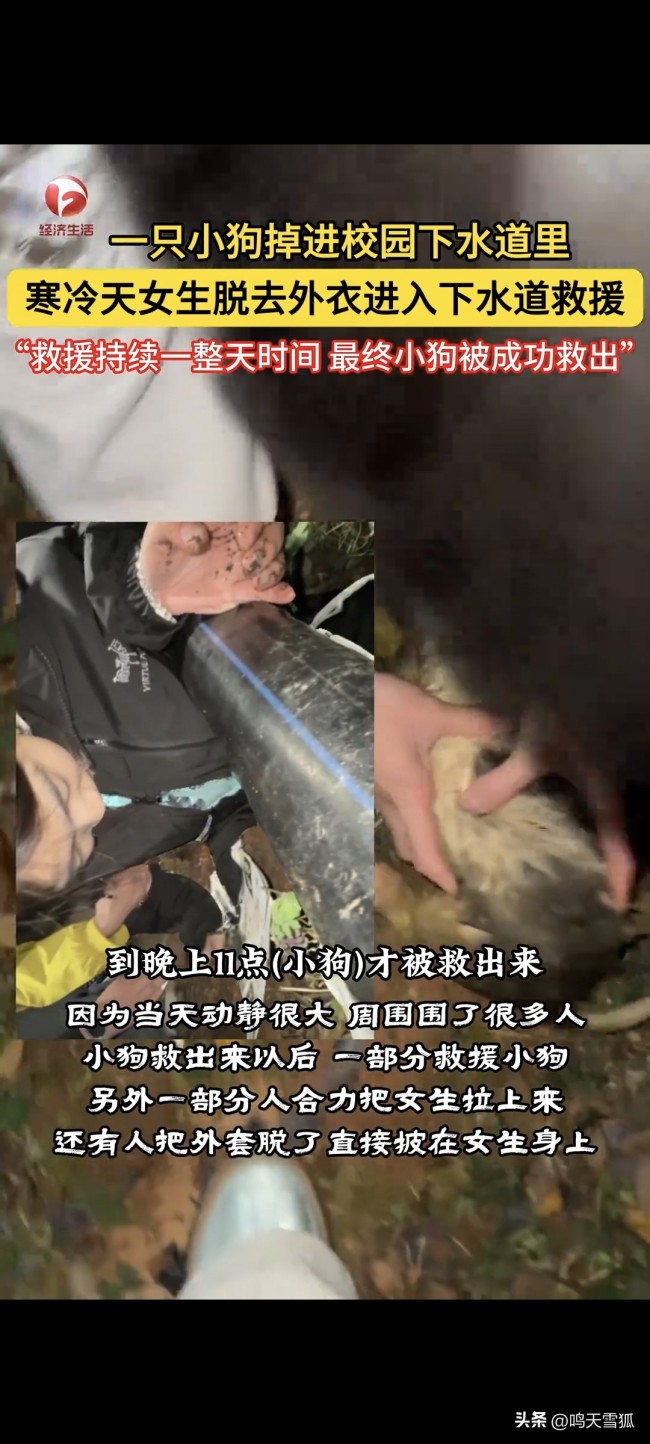 小狗掉下水道 女生脱衣下水救援!