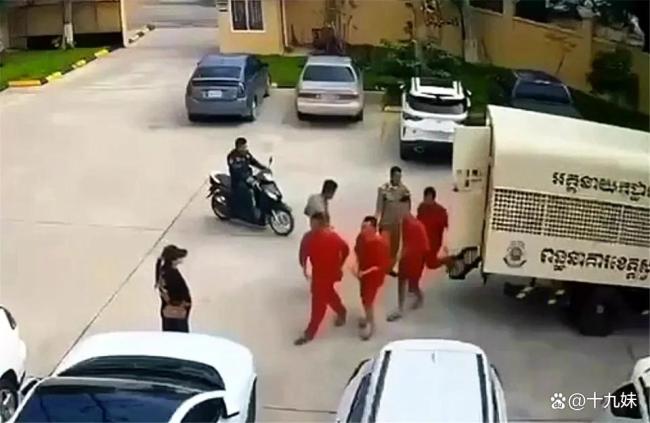 大嫂劫獄案事發(fā)地警方打擊電詐 真相揭露背后的組織預(yù)謀