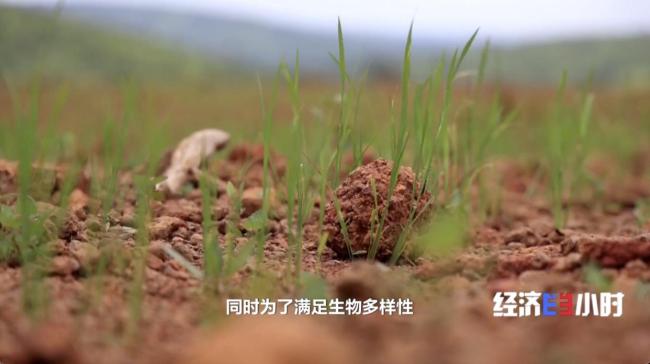 中國智造“上新” 投資規模穩居全球第三