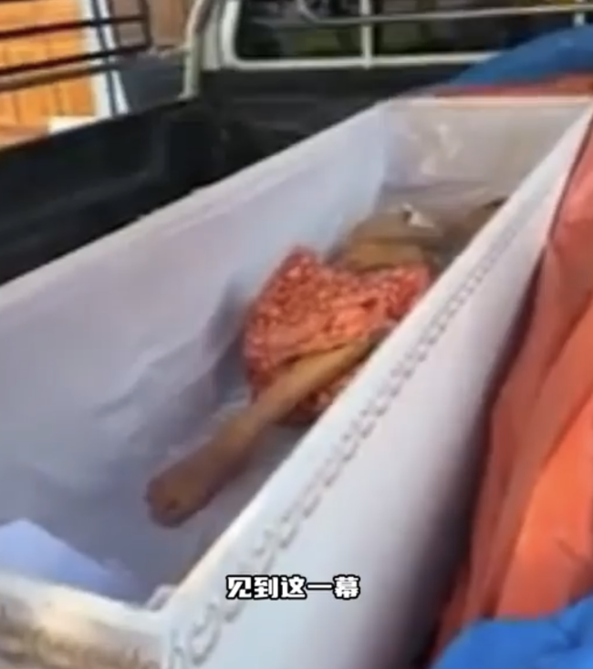 泰国65岁老妇火化前突然复活 惊悚一幕吓坏众人