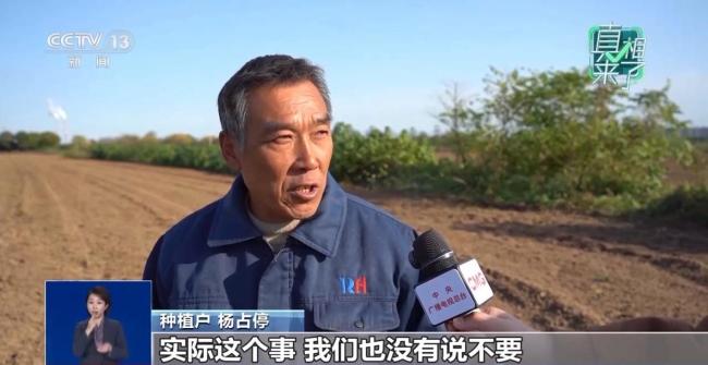 “千畝辣子可免費采摘”？謠言！造謠者被行拘