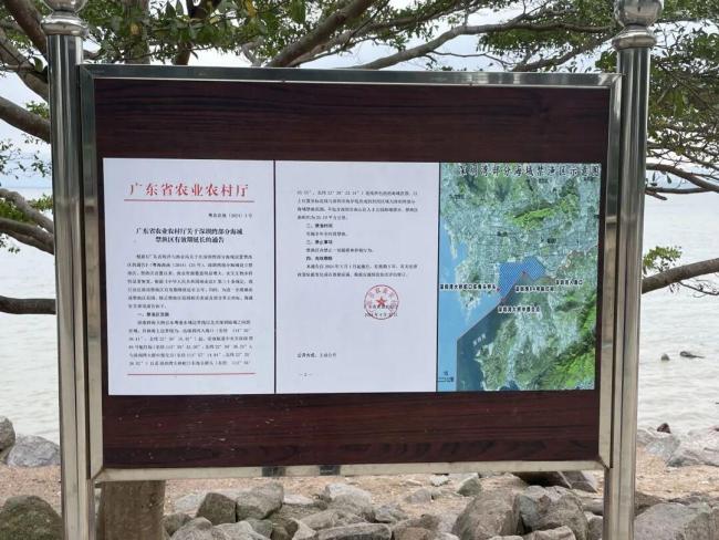深圳灣公園現(xiàn)違規(guī)“錨魚” 偷釣者與執(zhí)法人員周旋