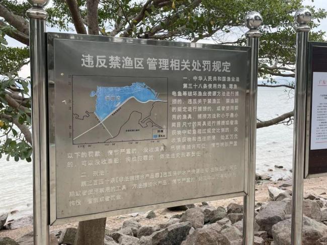 深圳灣公園現(xiàn)違規(guī)“錨魚” 偷釣者與執(zhí)法人員周旋