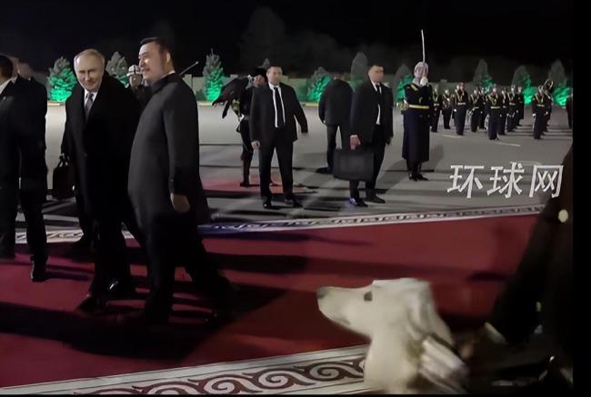 普京抵吉尔吉斯斯坦获金雕猎犬迎接 民族特色欢迎仪式
