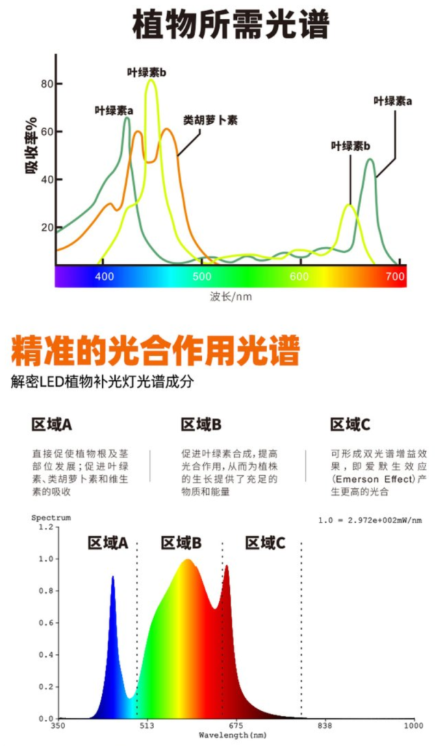 大晚上的,为什么不让火龙果睡觉?
