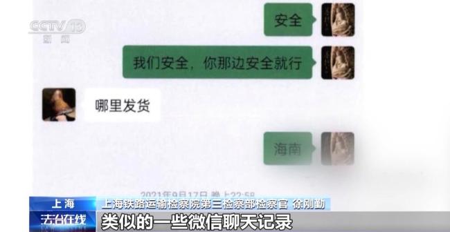 非法出售玳瑁標本 買家賣家均獲刑 珍稀動物保護警示