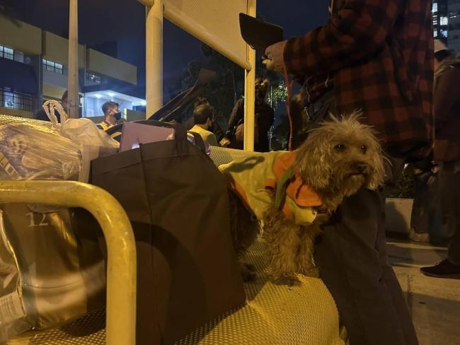 香港宏福苑居民多為中老年人 火災(zāi)悲劇引發(fā)關(guān)注